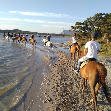 Appartamento Sette Posti Vicino Al Centro Di San Teodoro San Teodoro  Dış mekan fotoğraf