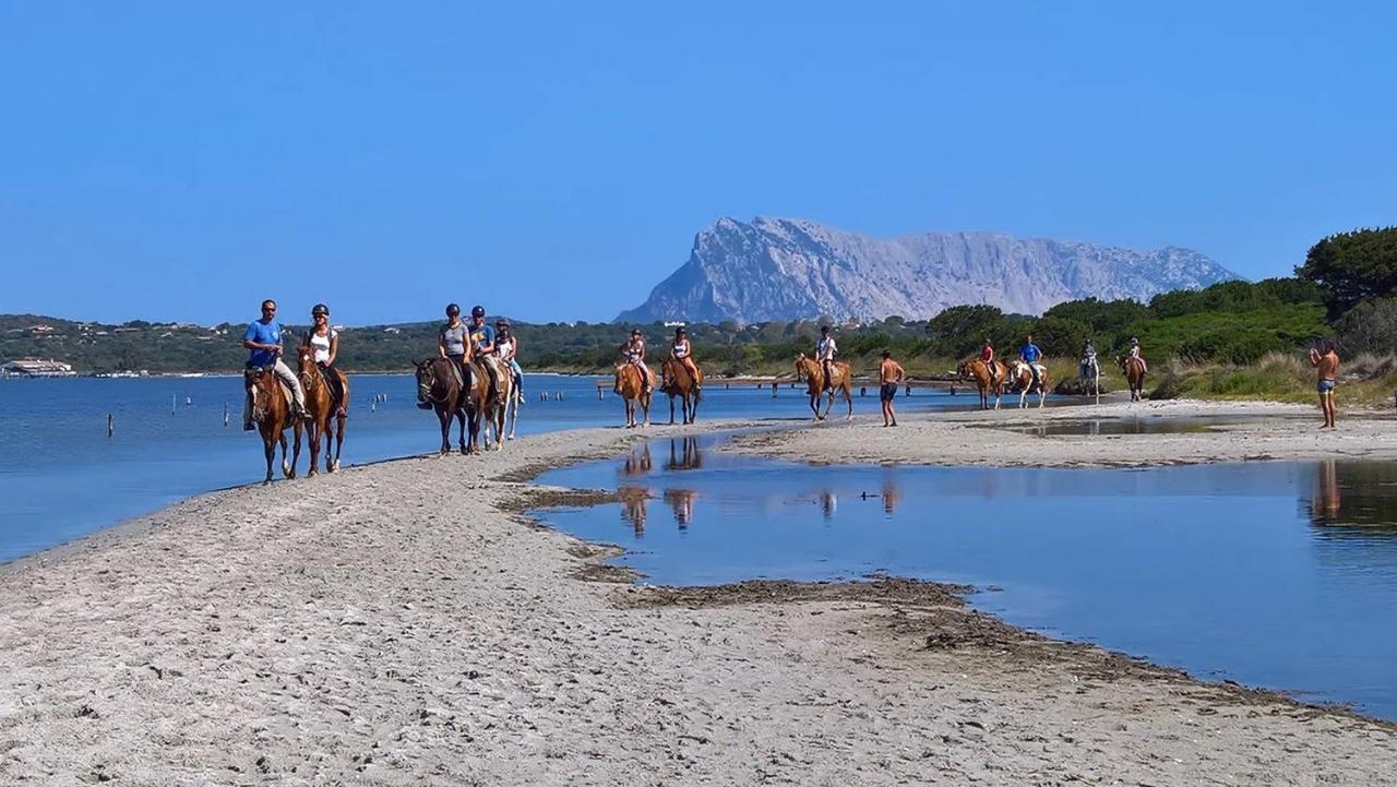 Appartamento Sette Posti Vicino Al Centro Di San Teodoro San Teodoro  Dış mekan fotoğraf