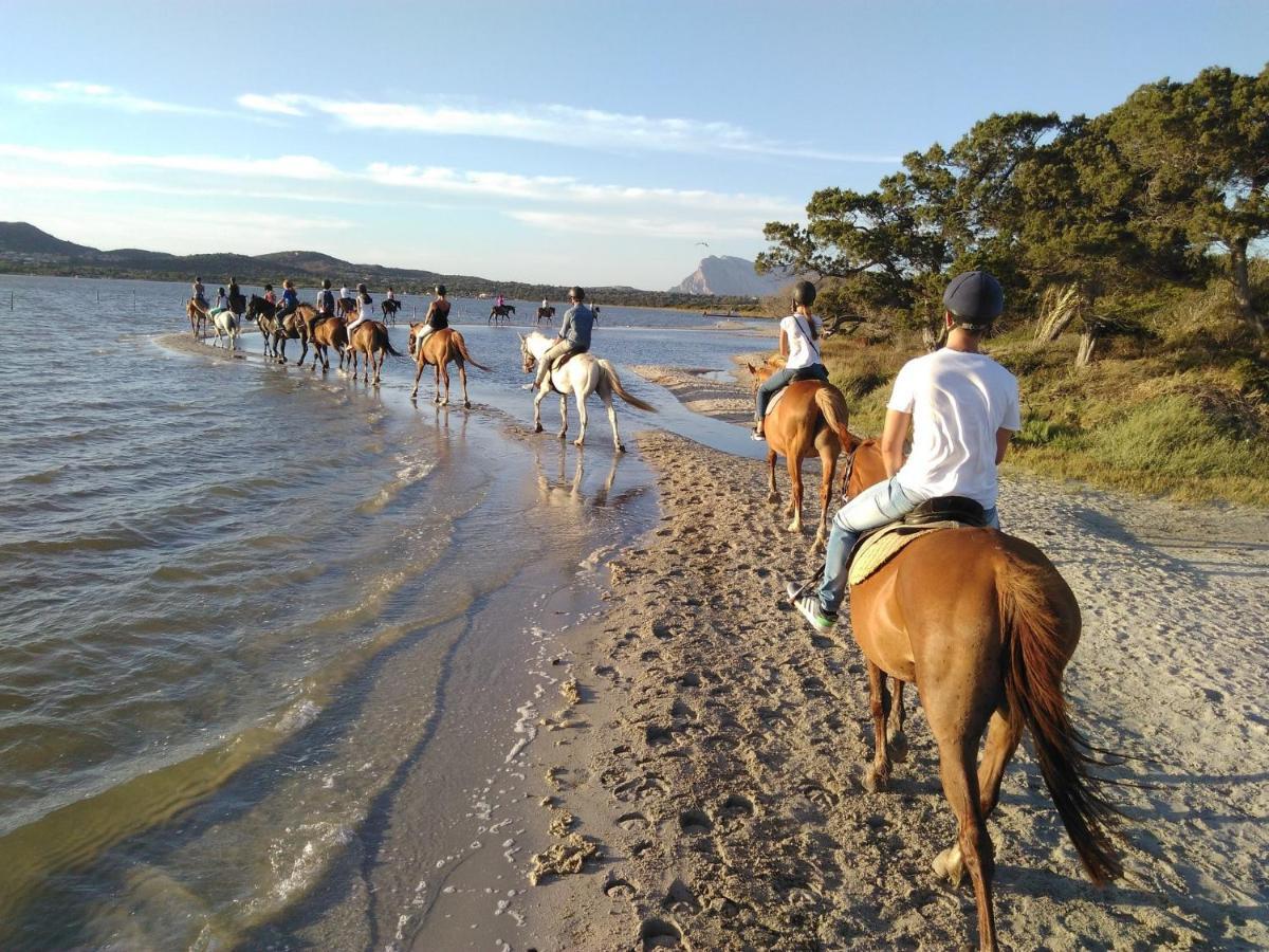 Appartamento Sette Posti Vicino Al Centro Di San Teodoro San Teodoro  Dış mekan fotoğraf